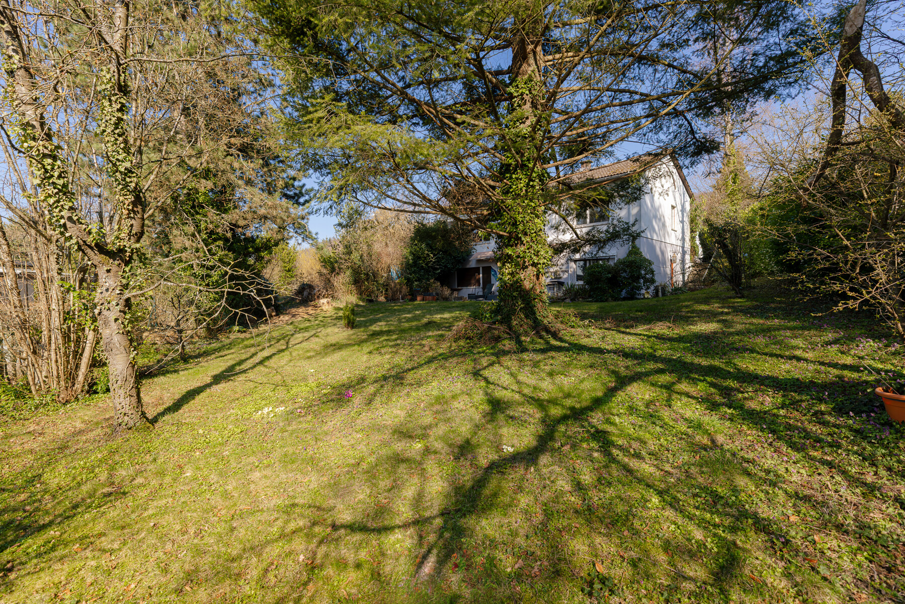 Sonnige Bestlage in Falkenstein – teilweise entkernter Bestand zur Neugestaltung oder Neubebauung, 61462 Königstein im Taunus-Falkenstein, Einfamilienhaus