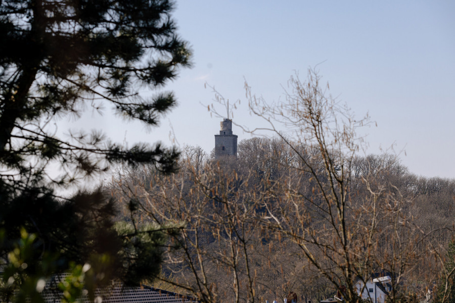 Burgblick von der Terrasse